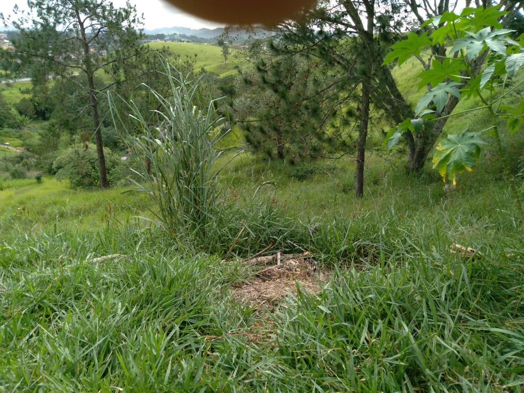 Terreno à venda, Chácaras Reunidas Bela Vista, JACAREÍ